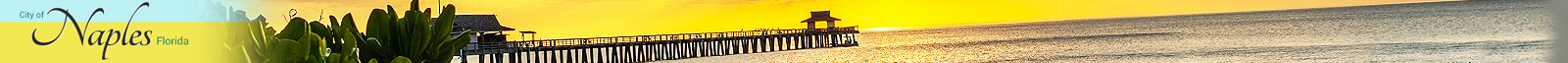 Naples, FL logo